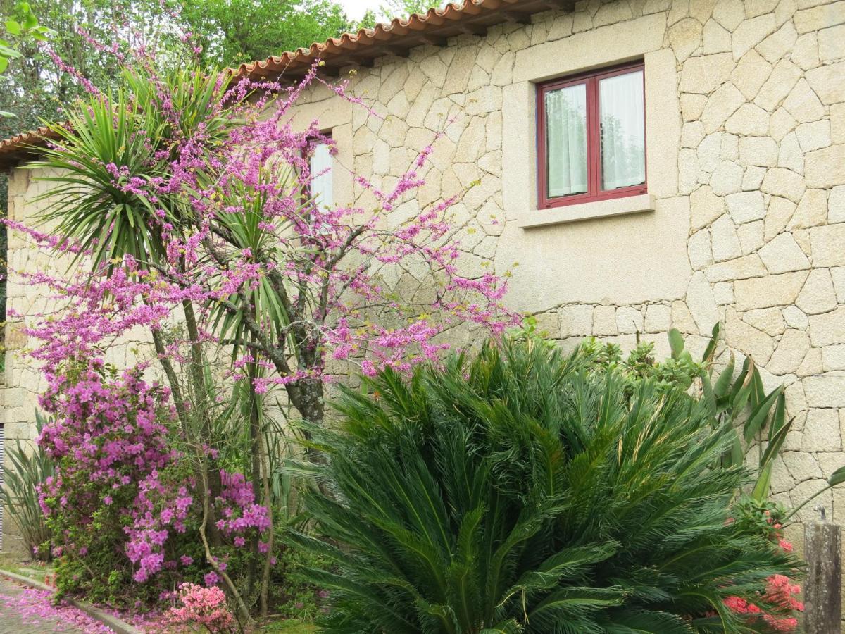 Casa Dos Tinocos Villa Braga Eksteriør bilde