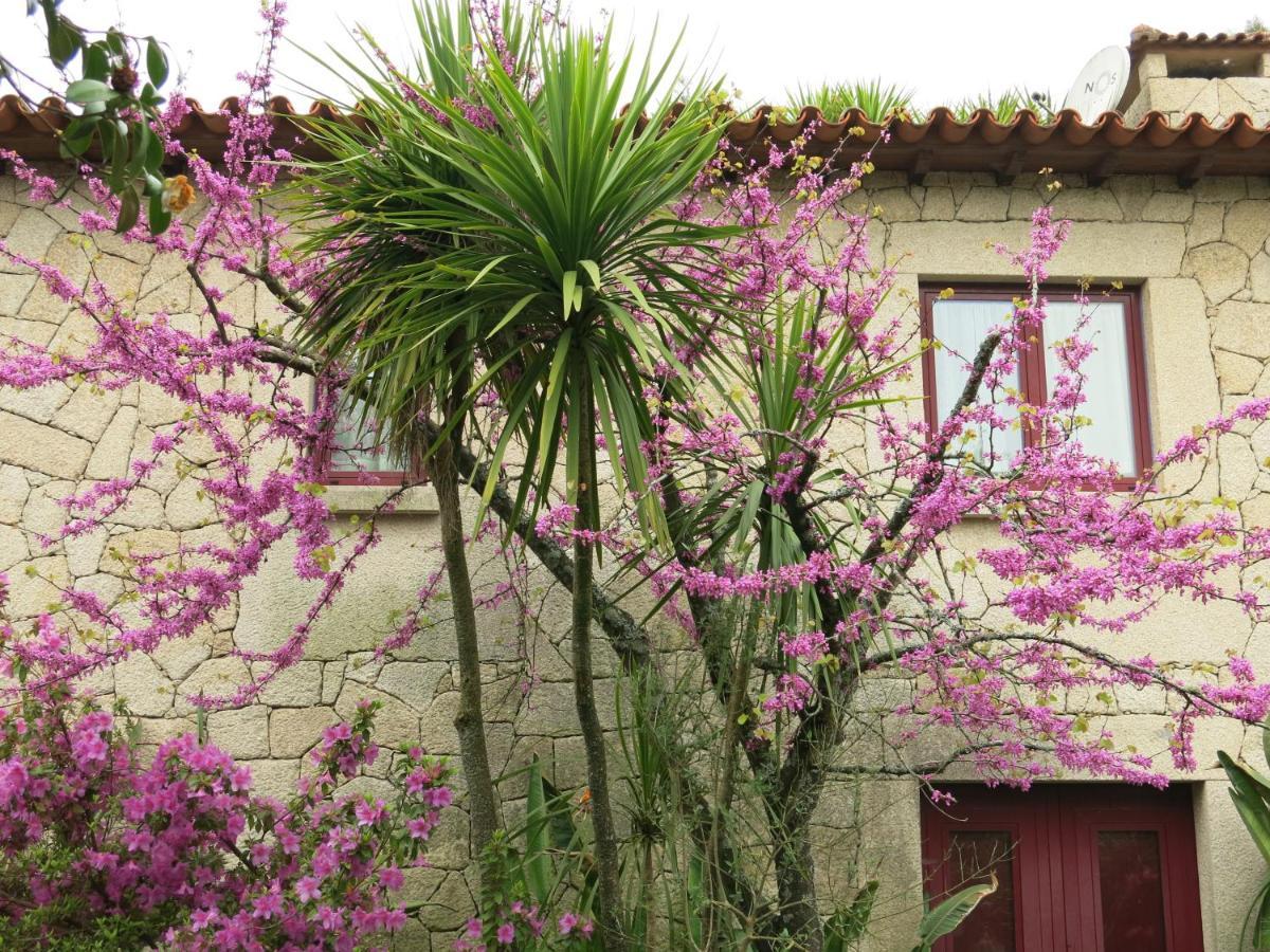 Casa Dos Tinocos Villa Braga Eksteriør bilde